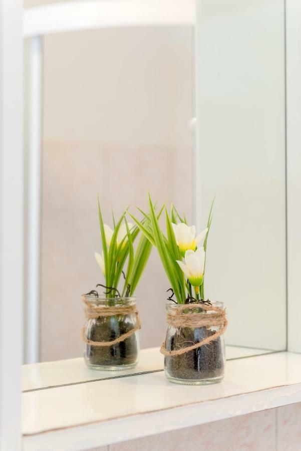 Apartment Anic Stari Grad  Zewnętrze zdjęcie